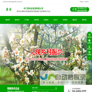 中汇桐林业集团有限公司|油桐开发|油桐批发|桐油批发